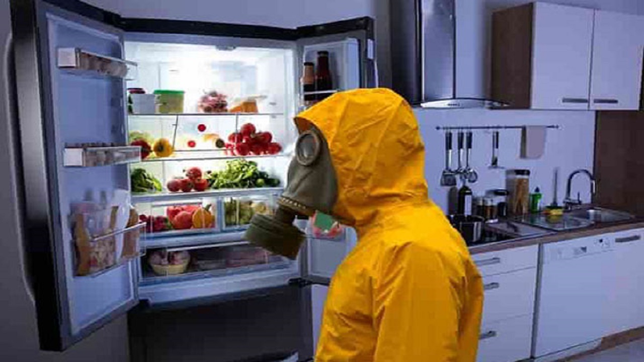 روش های تمیز کردن و رفع بود بد یخچال فریزر روش های تمیز کردن و رفع بود بد یخچال فریزر