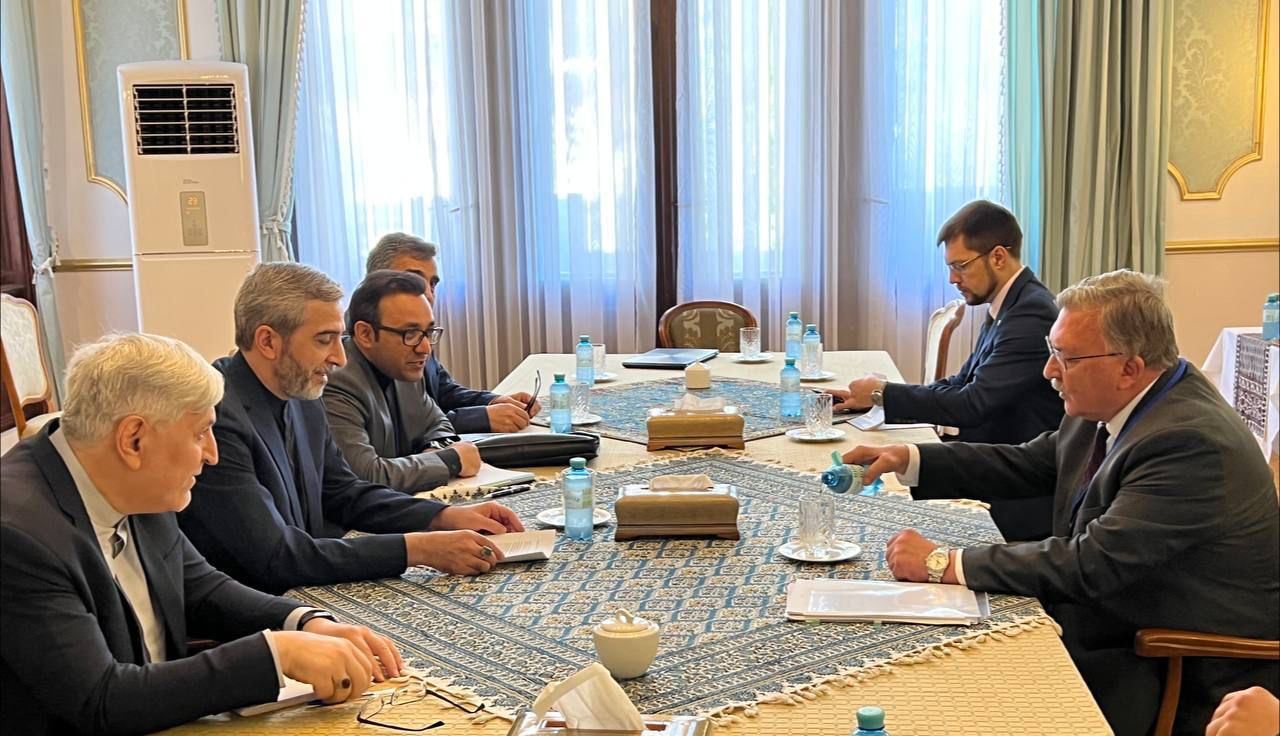 دیدار باقری و اولیانوف در وین
