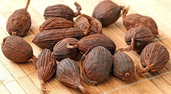 خاصیت عجیب این دانه معطر در مقابل سرطان خاصیت عجیب این دانه معطر در مقابل سرطان
