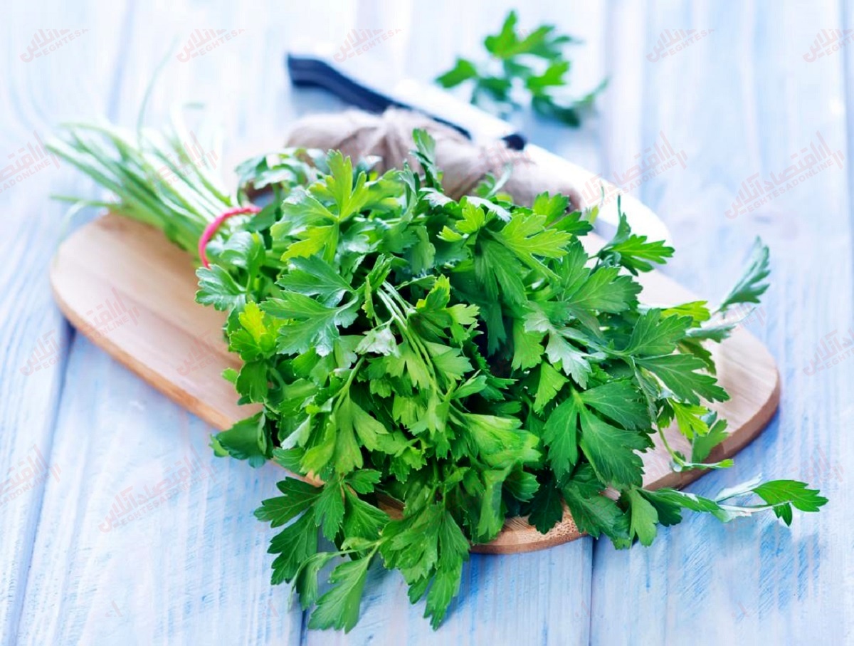 چطور با جعفری جوشانده لاغری و چربی سوز درست کنیم؟ چطور با جعفری جوشانده لاغری و چربی سوز درست کنیم؟