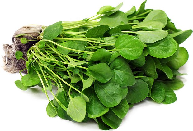 فواید «شاه» سبزی ها + عوارض و طبع آن فواید «شاه» سبزی ها + عوارض و طبع آن