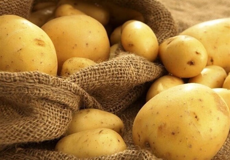 چرا نباید سیب زمینی را در یخچال نگه داریم چرا نباید سیب زمینی را در یخچال نگه داریم