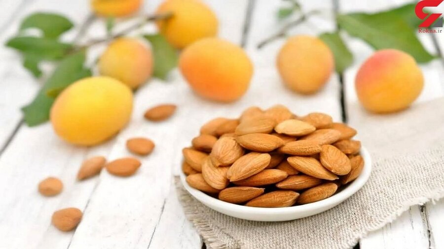 هسته زردآلو را دور نریزید