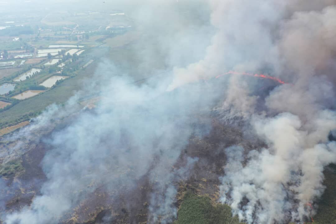 آتش سوزی تالاب انزلی مهار شد
