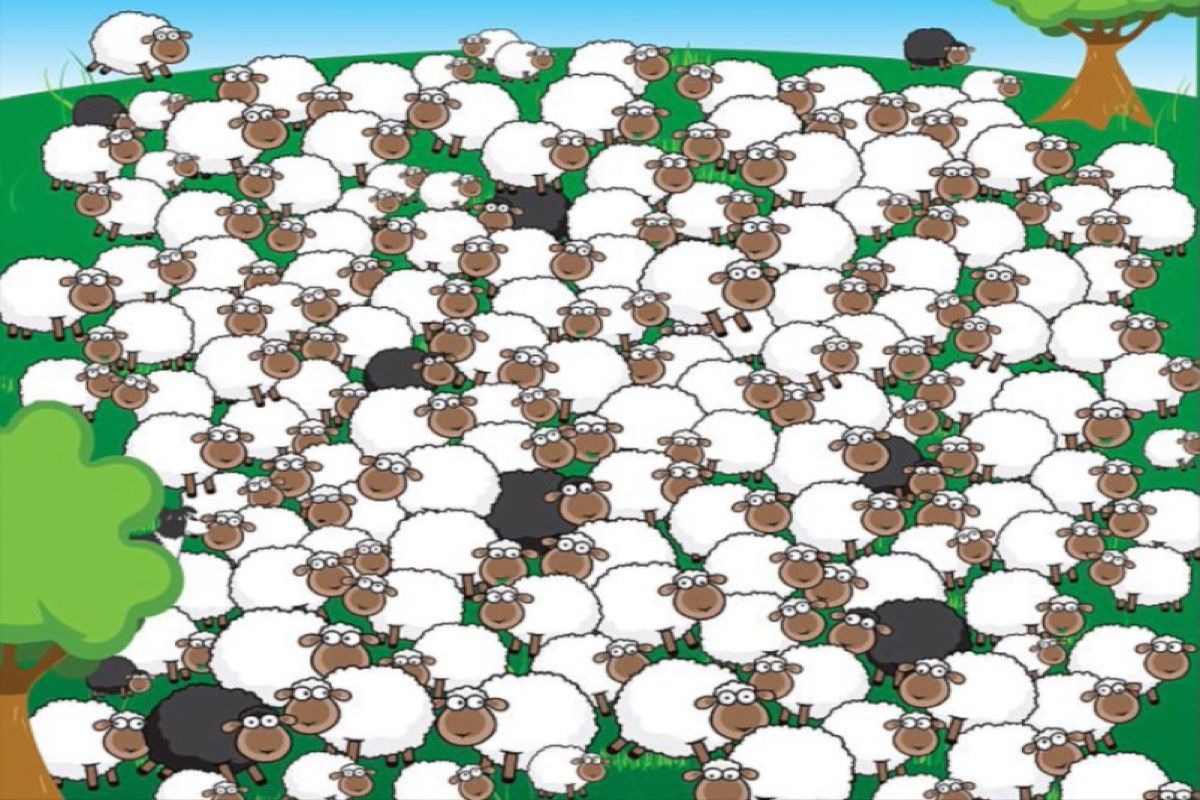 تست بینایی سخت؛ گوسفند خواب آلود را پیدا کنید!