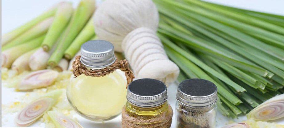 علف لیمو یا لمون گرس چه خواصی دارد؟ علف لیمو یا لمون گرس چه خواصی دارد؟