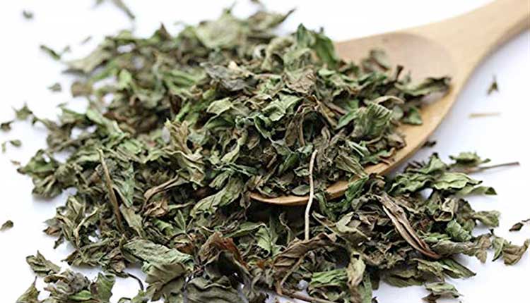 برای درست کردن نعنا خشک از این روش ها استفاده کنید برای درست کردن نعنا خشک از این روش ها استفاده کنید