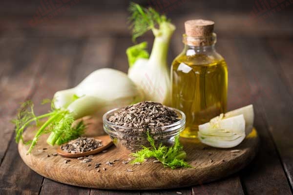 خانم ها، این گیاه محبوبتان چاق کننده است! خانم ها، این گیاه محبوبتان چاق کننده است!