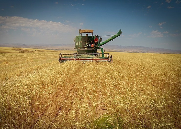معیار قیمت گذاری خرید تضمینی گندم چه بوده است؟ معیار قیمت گذاری خرید تضمینی گندم چه بوده است؟