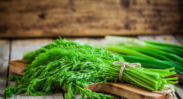 ۳ روش ساده برای تازه نگهداشتن سبزی خوردن ۳ روش ساده برای تازه نگهداشتن سبزی خوردن