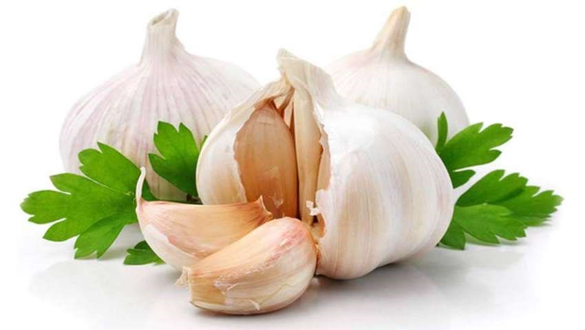 خوردن سیر خام مفیدتر است یا سیر پخته؟ + روش صحیح خوردن سیر