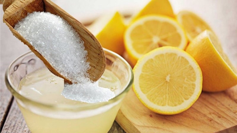 ۵ ماسک لیموترش برای داشتن پوستی زیباتر ۵ ماسک لیموترش برای داشتن پوستی زیباتر