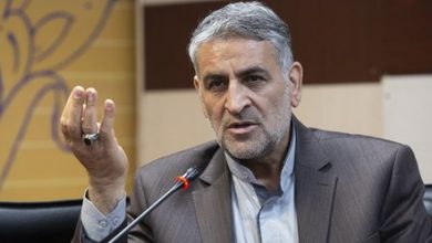 ممنوعیت واردات ضد توسعه است / در بسیاری از تصمیمات افراط و تفریط می کنیم ممنوعیت واردات ضد توسعه است / در بسیاری از تصمیمات افراط و تفریط می کنیم