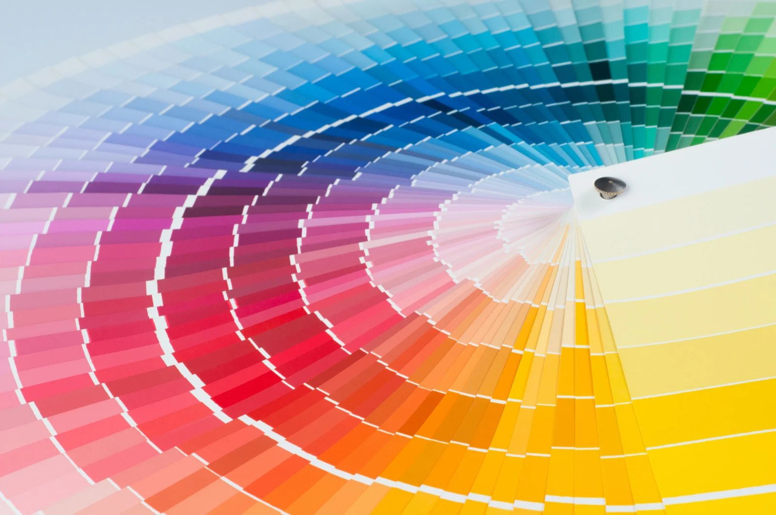 مردم جهان از کدام رنگ بیشتر خوششان می آید؟