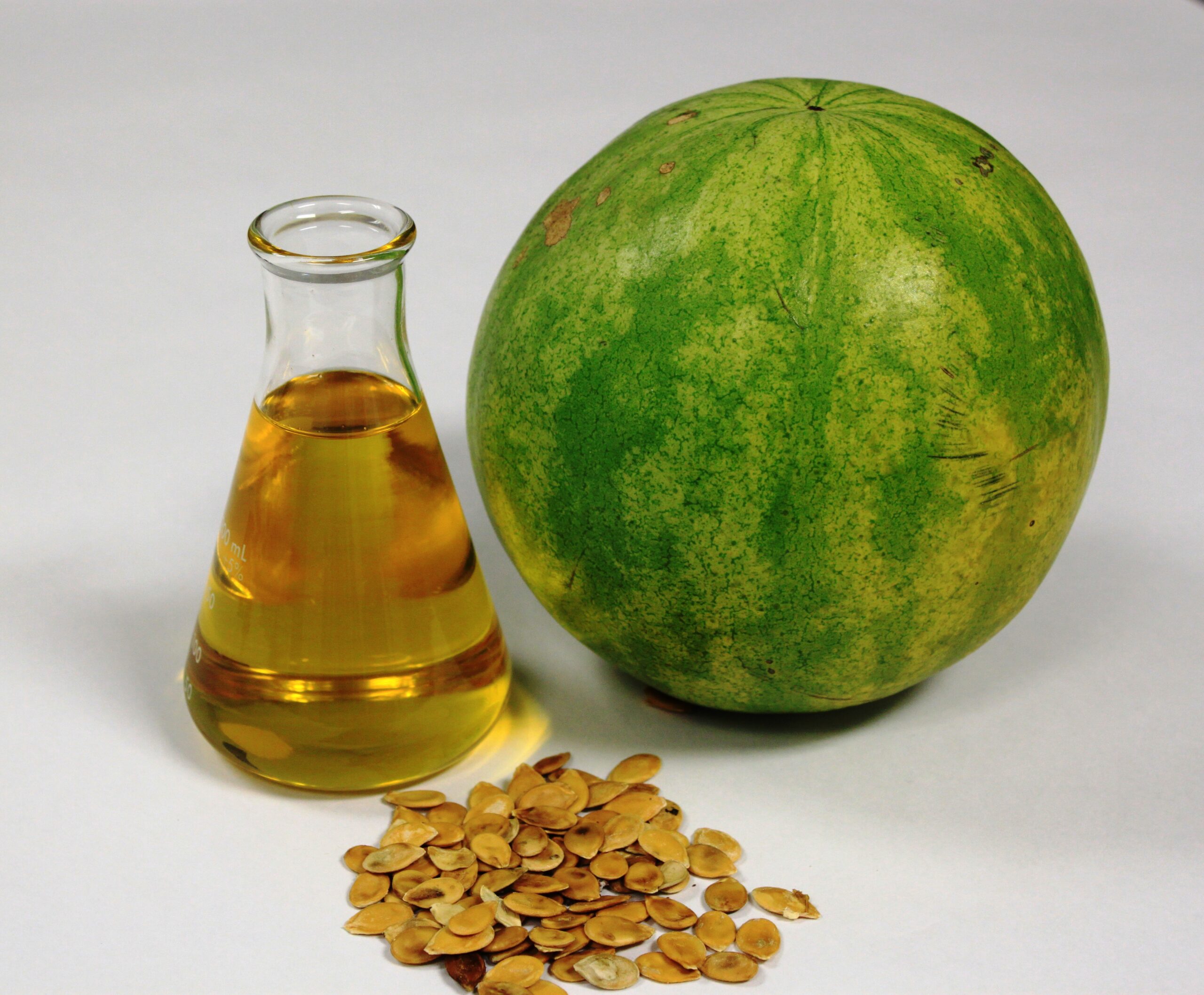 روغن این گیاه دوای درد وزوز گوش روغن این گیاه دوای درد وزوز گوش