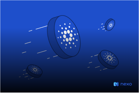 کاردانو زیر ۰.۴ دلار/ زمان خرید فرا رسیده است؟