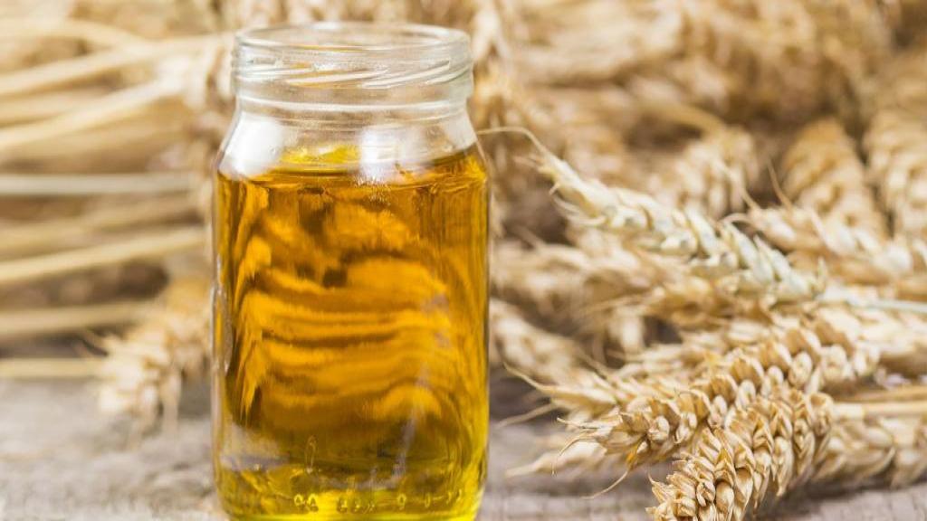 روغن جوانه گندم؛ معجزه گر برای سلامتی روغن جوانه گندم؛ معجزه گر برای سلامتی