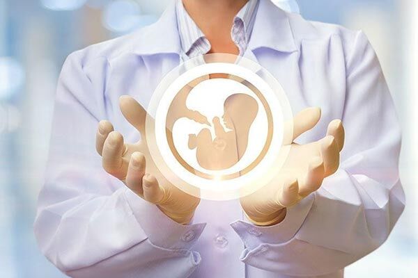 ۱۵ روش طبیعی و فوق العاده برای باروری سالم ۱۵ روش طبیعی و فوق العاده برای باروری سالم