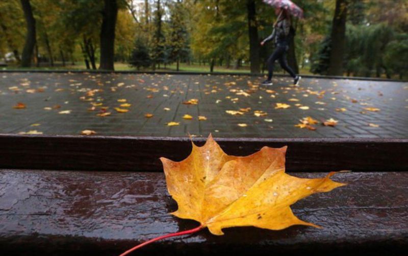 بارش های پاییزی کشور ۸۰ درصد کاهش یافت بارش های پاییزی کشور ۸۰ درصد کاهش یافت