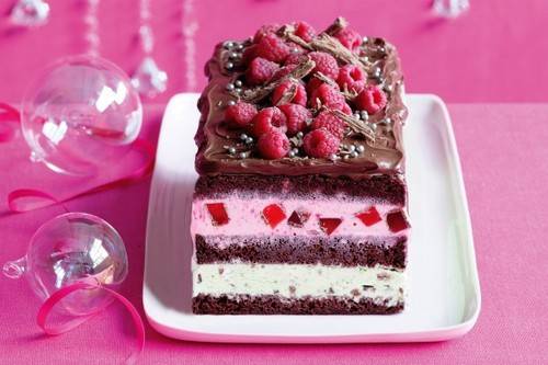 طرز تهیه ۳ مدل کیک بستنی راحت و لاکچری برای مهمانی ها طرز تهیه ۳ مدل کیک بستنی راحت و لاکچری برای مهمانی ها