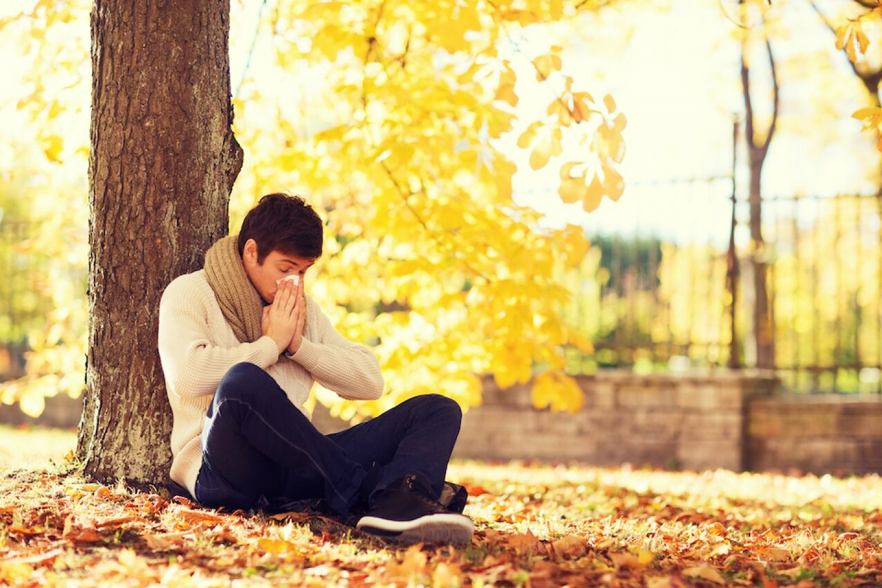حساسیت پاییزی را چگونه درمان کنیم؟ حساسیت پاییزی را چگونه درمان کنیم؟