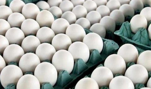 به جای تخم مرغ این مواد غذایی را مصرف کنید به جای تخم مرغ این مواد غذایی را مصرف کنید
