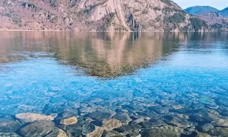 تست بینایی؛ نابغه ها جواب بدهند، ماهی را می بینید؟ تست بینایی؛ نابغه ها جواب بدهند، ماهی را می بینید؟