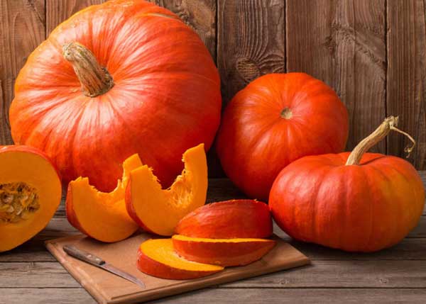 باخاصیت ترین تنبل جهان! + عکس