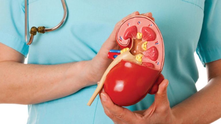 اقدامات ساده برای مراقبت از سلامت کلیه ها اقدامات ساده برای مراقبت از سلامت کلیه ها