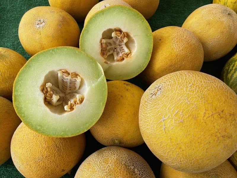 با خربزه این بیماری را شکست دهید با خربزه این بیماری را شکست دهید