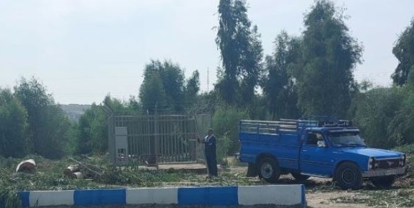 قطع درختان کهنسال در دوگنبدان/شهرداری و محیط زیست در خواب! قطع درختان کهنسال در دوگنبدان/شهرداری و محیط زیست در خواب!