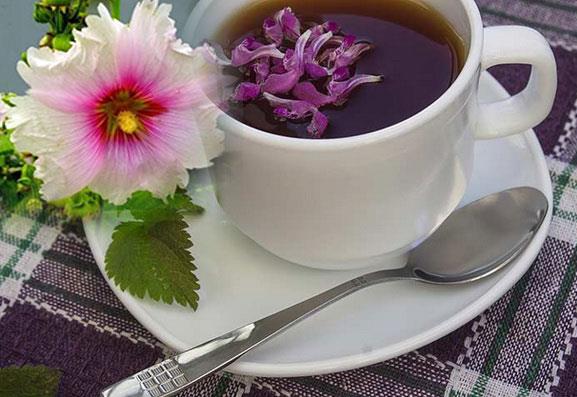 چگونه با کمک گیاهان دارویی آنفلوانزا را درمان کنیم؟ چگونه با کمک گیاهان دارویی آنفلوانزا را درمان کنیم؟