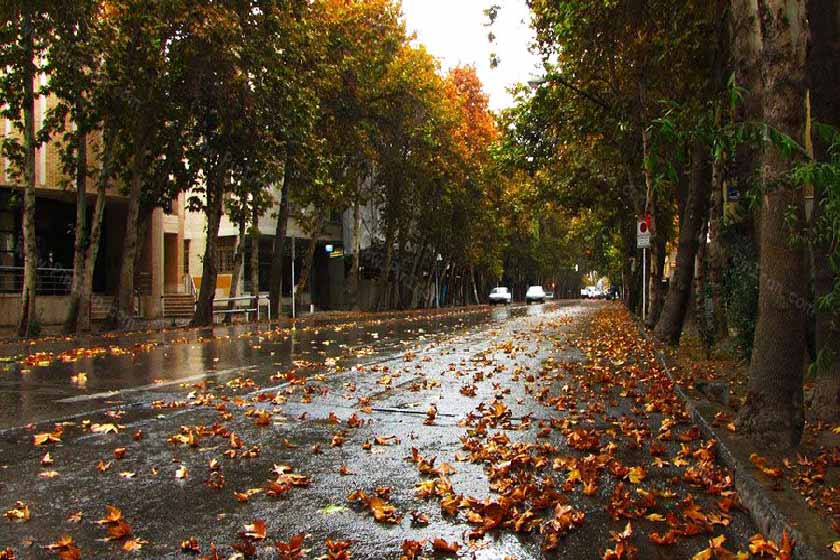 مقصدهای جذاب سفر در پاییز؛ از کویر و چشمه های آب گرم تا جنگل های زیبای شمال و بنادر گرم جنوب مقصدهای جذاب سفر در پاییز؛ از کویر و چشمه های آب گرم تا جنگل های زیبای شمال و بنادر گرم جنوب