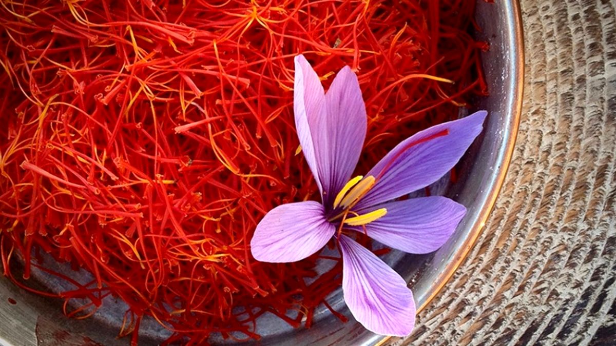 خرید تضمینی زعفران، کاهش دغدغه دلالان به جای حمایت از کشاورزان! خرید تضمینی زعفران، کاهش دغدغه دلالان به جای حمایت از کشاورزان!