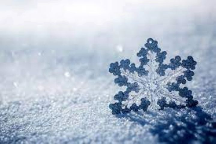 آیا سرما بدن را بیمار می کند؟ آیا سرما بدن را بیمار می کند؟