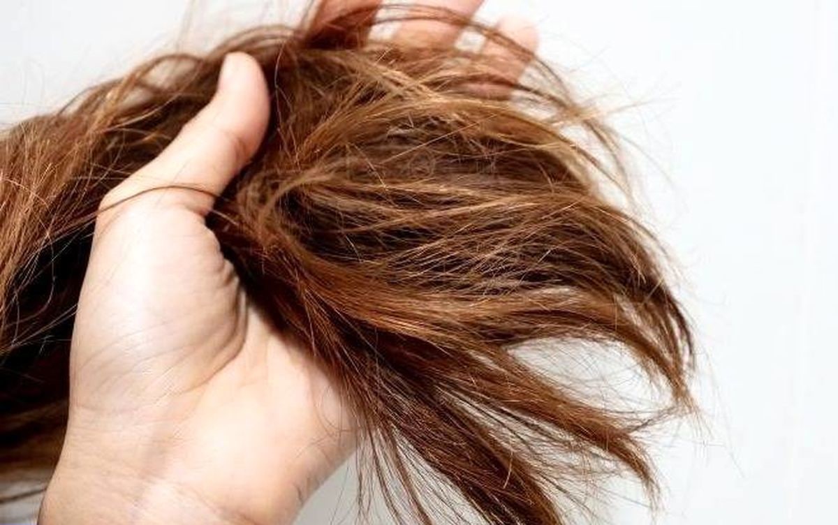 برای درمان موی خشک چه روغنی استفاده کنیم؟ + بهترین ها برای درمان موی خشک چه روغنی استفاده کنیم؟ + بهترین ها