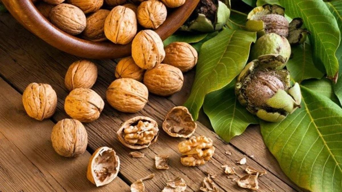اسرار لاغری؛ آجیل لاغری چیست؟ اسرار لاغری؛ آجیل لاغری چیست؟