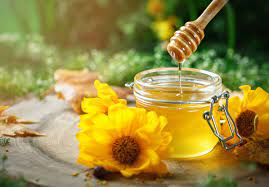 ویژگی های عسل طبیعی را بشناسید / ۱۰ خاصیت درمانی عسل ویژگی های عسل طبیعی را بشناسید / ۱۰ خاصیت درمانی عسل