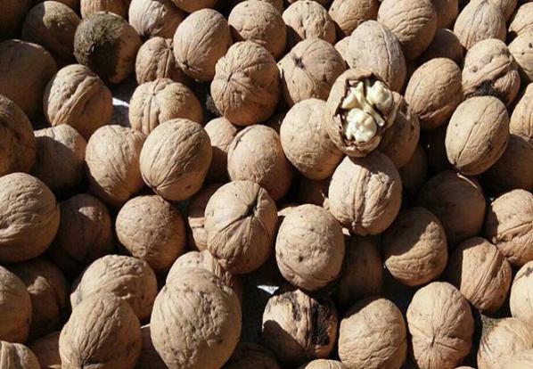 برای تقویت حافظه چی بخوریم؟ برای تقویت حافظه چی بخوریم؟