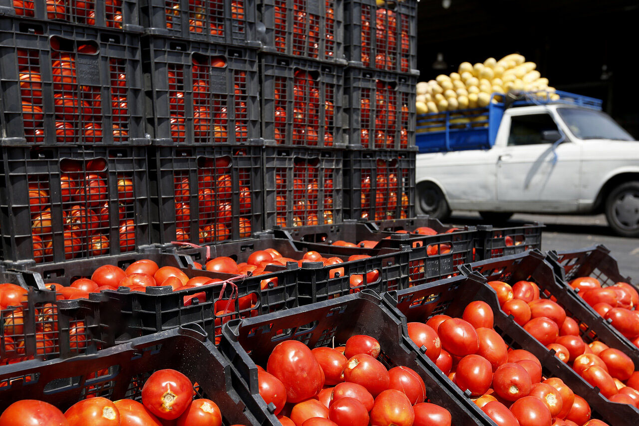 بیشترین افزایش قیمت آبان برای گوجه فرنگی و پیاز / تورم روغن علیرغم بیشترین افزایش قیمت سالانه، در آبان منفی بود بیشترین افزایش قیمت آبان برای گوجه فرنگی و پیاز / تورم روغن علیرغم بیشترین افزایش قیمت سالانه، در آبان منفی بود