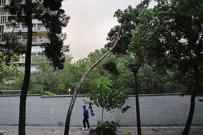 وزش باد شدید و رگبار در تهران/ کاهش محسوس دما از امروز وزش باد شدید و رگبار در تهران/ کاهش محسوس دما از امروز