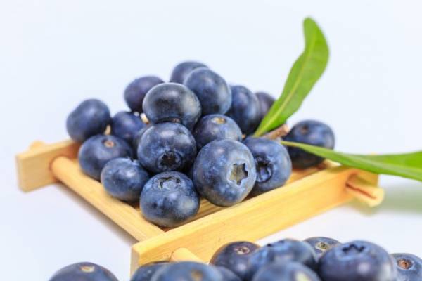 با خوردن روزانه یک مشت از این میوه، آلزایمر سراغتان نمی آید! با خوردن روزانه یک مشت از این میوه، آلزایمر سراغتان نمی آید!