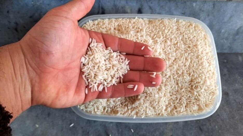 قیمت برنج هاشمی ایرانی کیلویی چند؟ + جدول