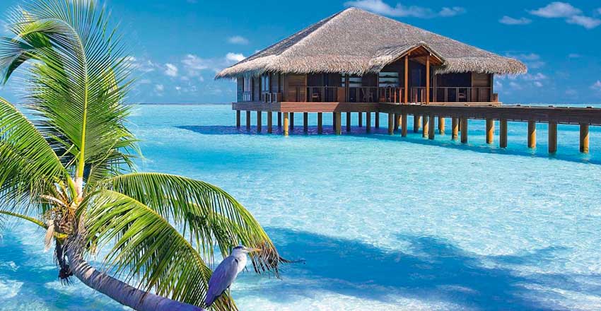 قیمت تور ارزان مالدیو ویژه نوروز چند؟ + جدول قیمت قیمت تور ارزان مالدیو ویژه نوروز چند؟ + جدول قیمت