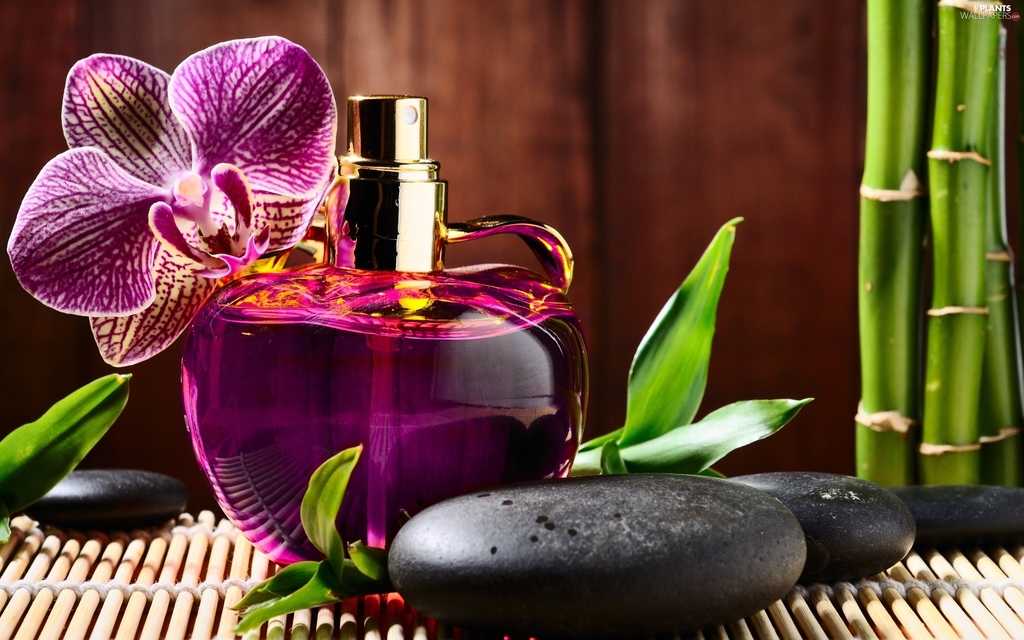 قیمت معروف ترین برندهای عطر زنانه + جدول قیمت معروف ترین برندهای عطر زنانه + جدول