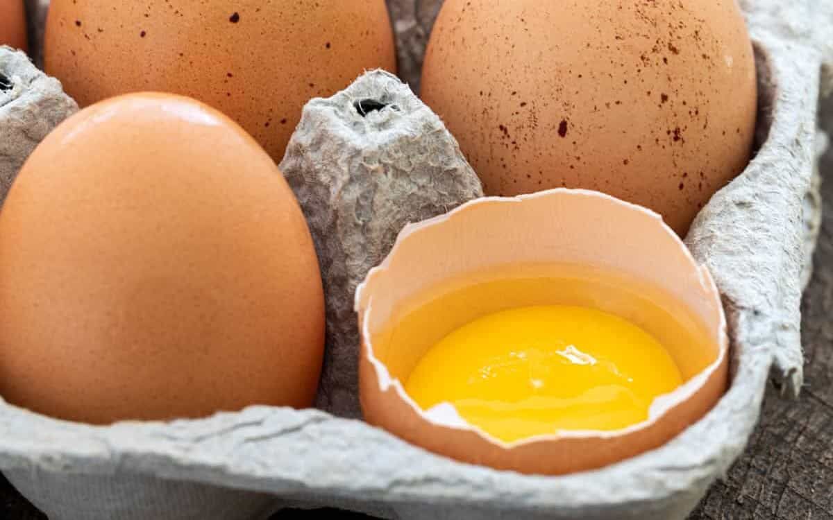 قیمت جدید تخم مرغ چقدر شد؟ + جدول قیمت جدید تخم مرغ چقدر شد؟ + جدول