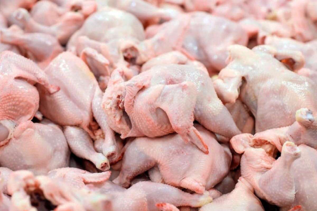 قیمت سینه مرغ بسته ای چند؟ + جدول