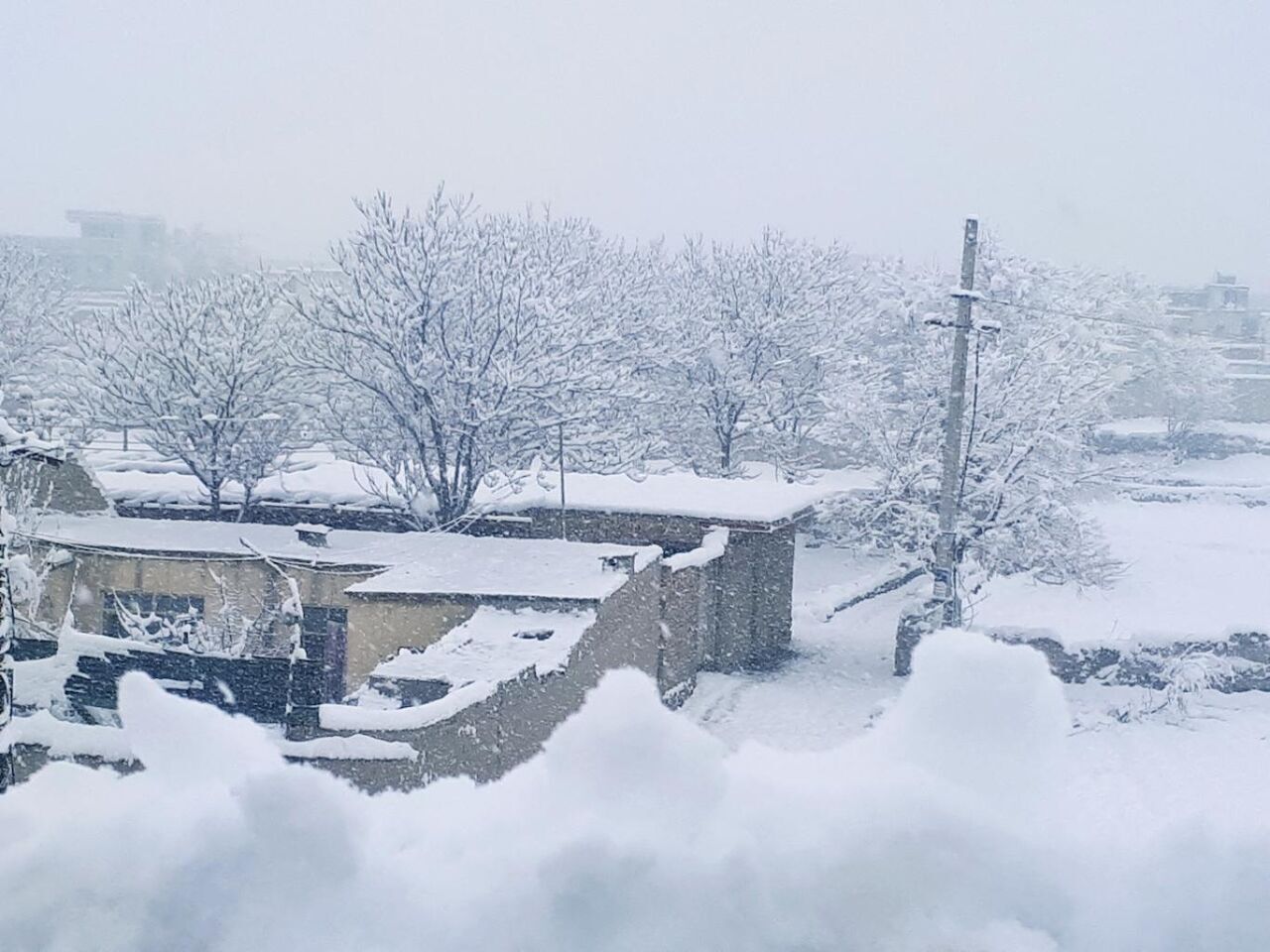 دمای هوا در این استان به منفی دو درجه رسید دمای هوا در این استان به منفی دو درجه رسید