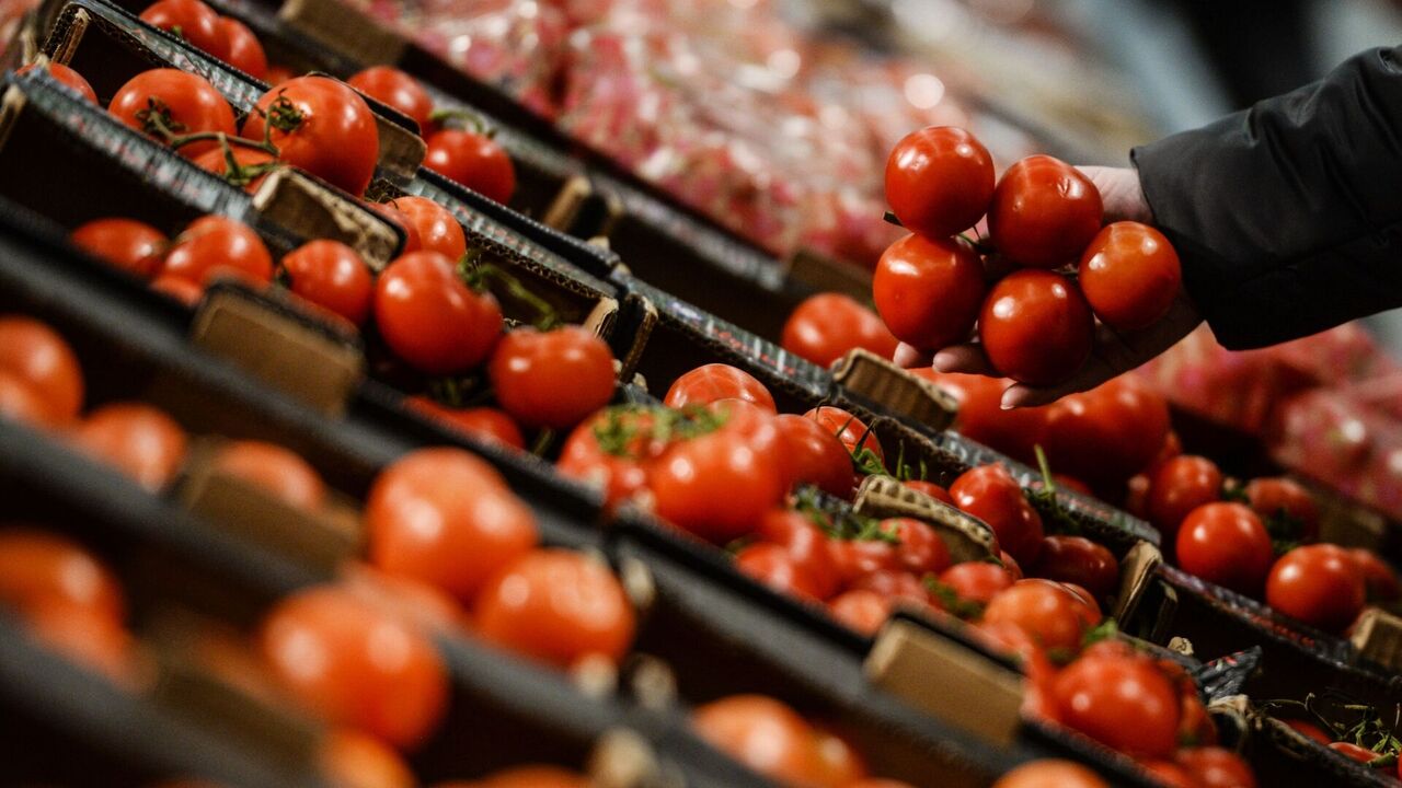 خبر خوش درباره قیمت گوجه فرنگی خبر خوش درباره قیمت گوجه فرنگی
