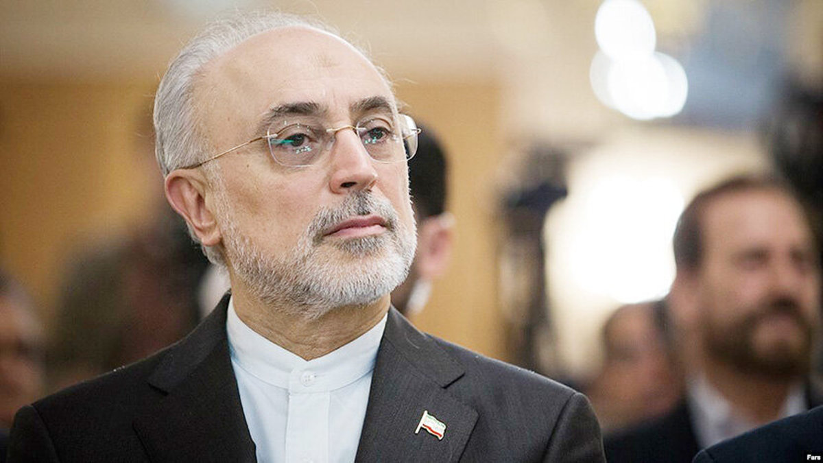 صالحی: نبود انتخابات موجب دیکتاتوری و اغتشاش میشود صالحی: نبود انتخابات موجب دیکتاتوری و اغتشاش میشود